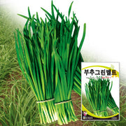 부추 씨앗 Chives Seeds