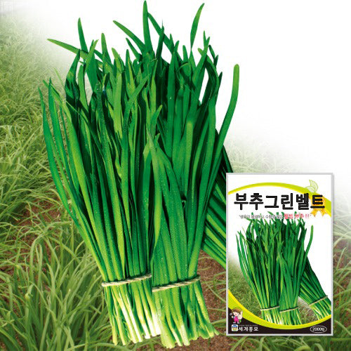 부추 씨앗 Chives Seeds