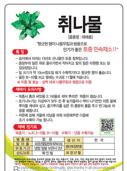 취나물 씨앗 Korea Aster Chwinamul Seeds