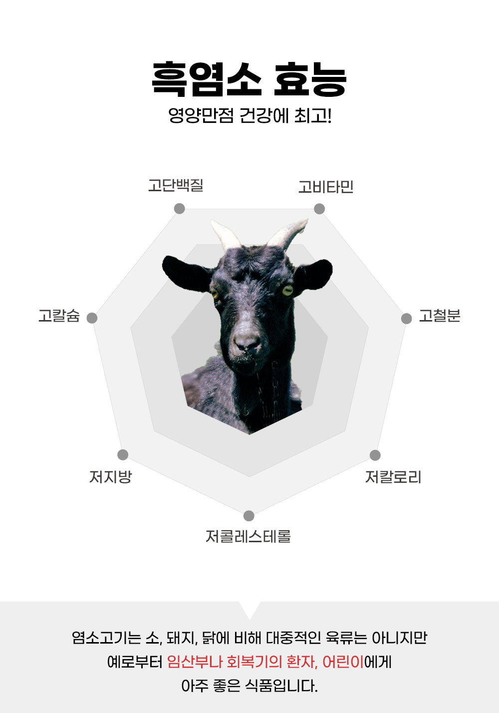 흑염소 농축액 Black Goat Extract Juice 60포-미주 전 지역 쉽핑