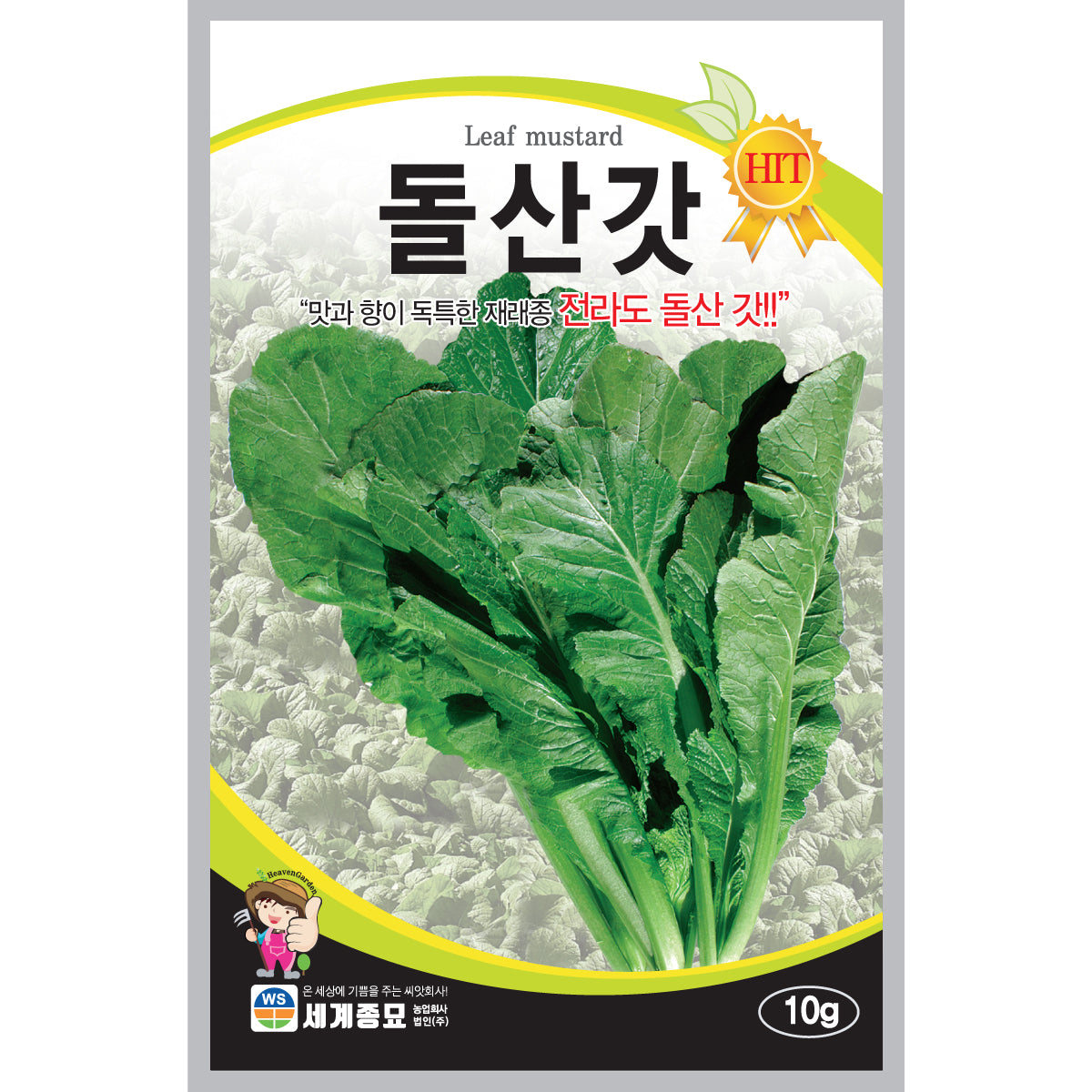 돌산갓 씨앗 Leaf Mustard Seeds 5g
