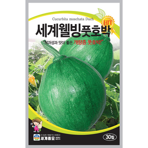 풋 호박 씨앗 Hybrid Squash Seeds