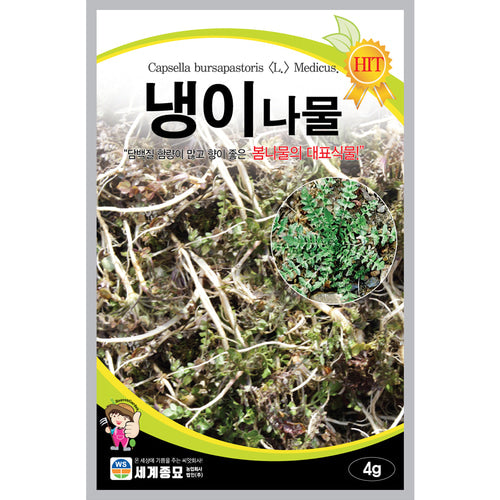 냉이나물 씨앗 Capsella Bursa-Pastoris Seeds