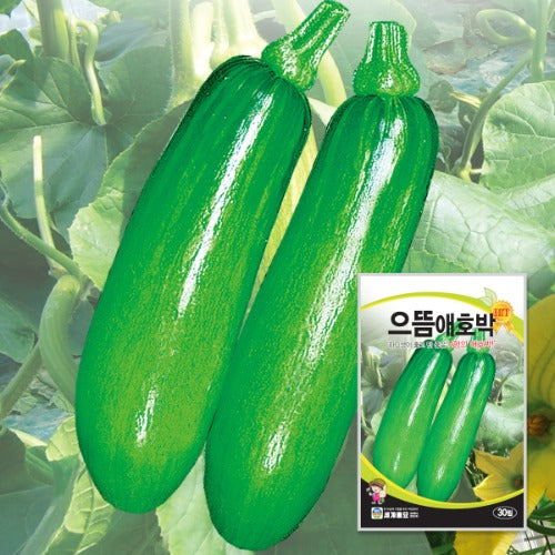 킹카 애호박 씨앗 Hybrid Squash Seeds