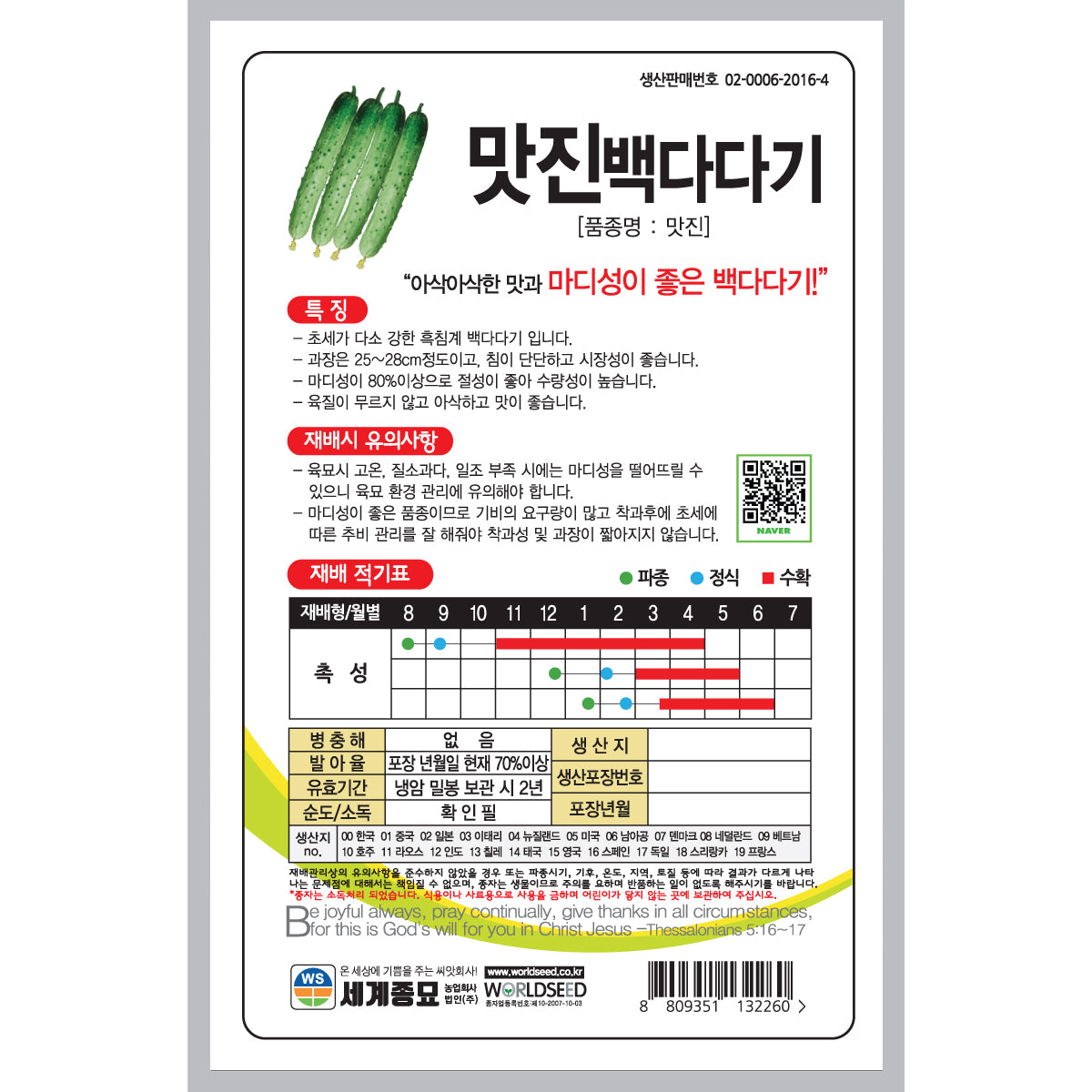 맛진 은천 오이씨앗 Cucumber Seeds