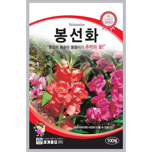 봉숭아 씨앗 봉선화 씨앗 Impatiens Balsamina