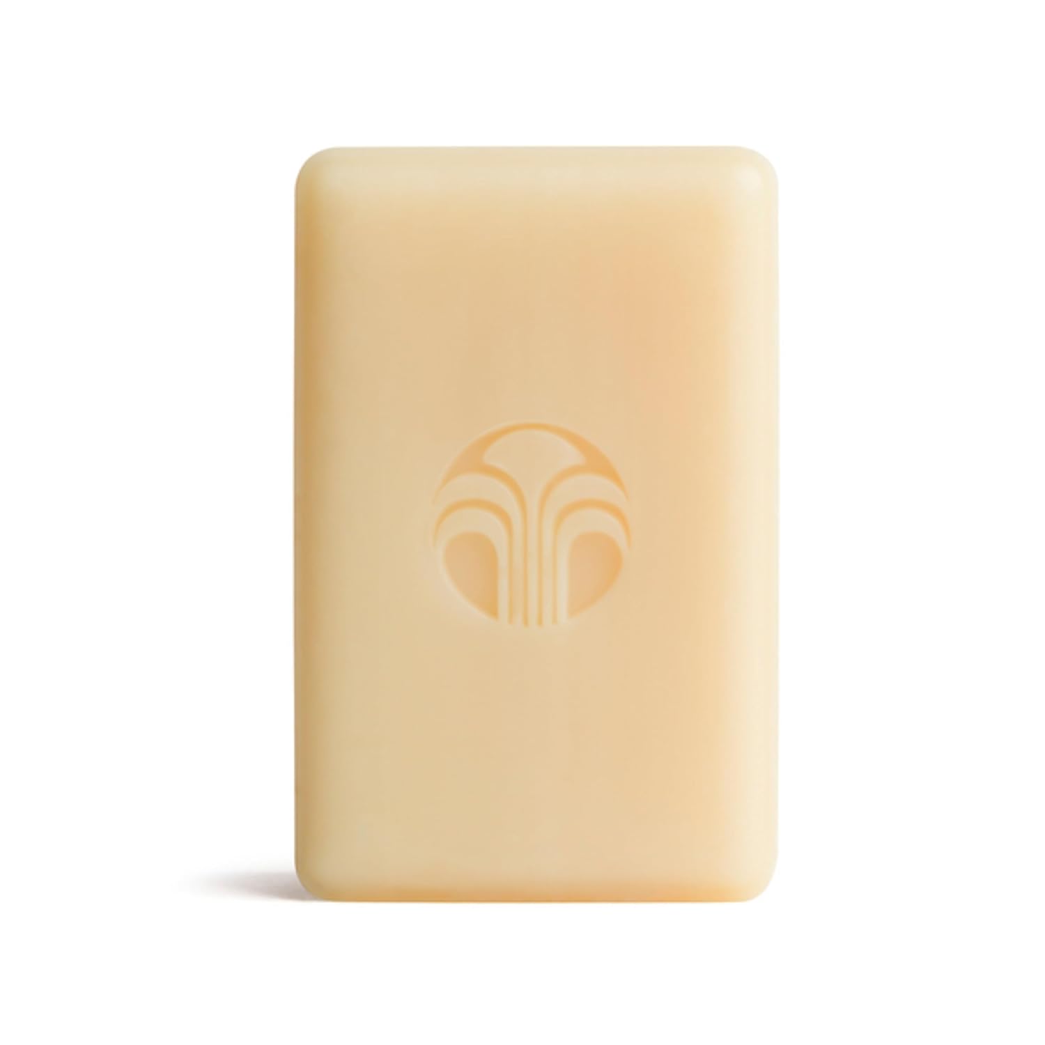 뉴스킨 바디바 Nu Skin Body Bar Soap
