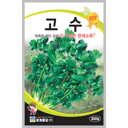 고수 실란트로 씨앗 Coriander Cilantro Seeds