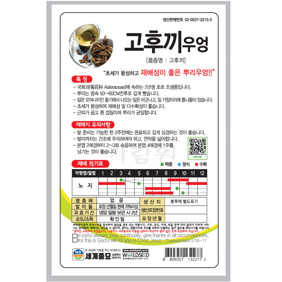 고후끼 우엉씨앗 Burdock Plant Seeds