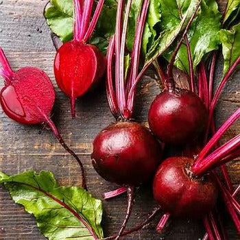 비트 씨앗 Beet Seeds