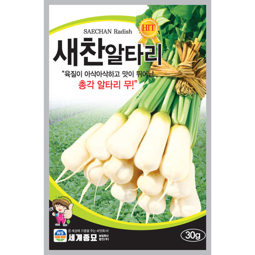 알타리무 씨앗 Hybrid Kimchi Radish Seeds