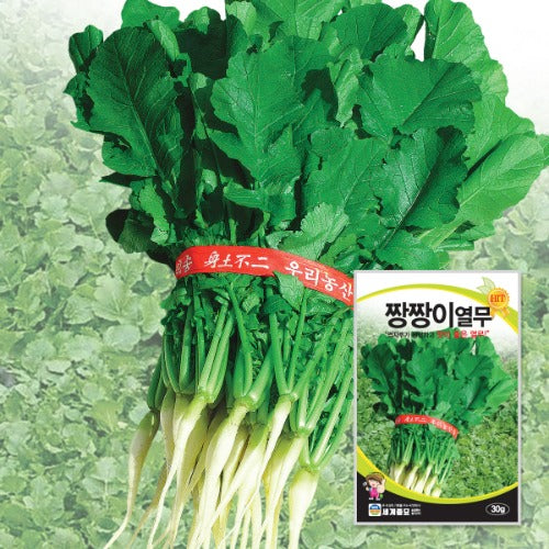 ģ“묓ģØģ Young Radish Seeds