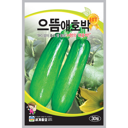 킹카 애호박 씨앗 Hybrid Squash Seeds