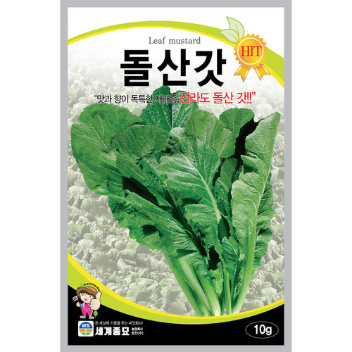 돌산갓 씨앗 Leaf Mustard Dolsan Seeds