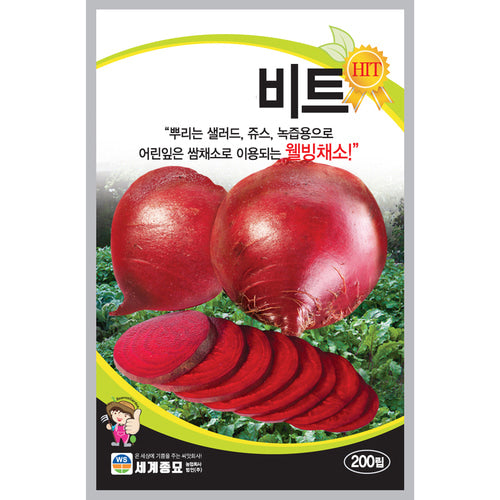 비트 씨앗 Beet Seeds