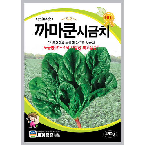 시금치 씨앗 Spinach Seeds