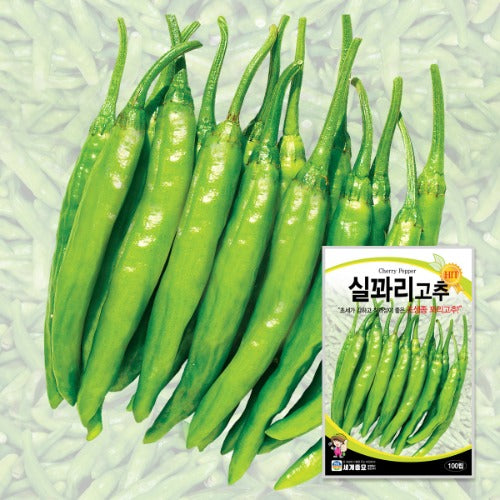 ź½ė¦¬ź³ ģ¶ Wrinkled Green Pepper Seeds