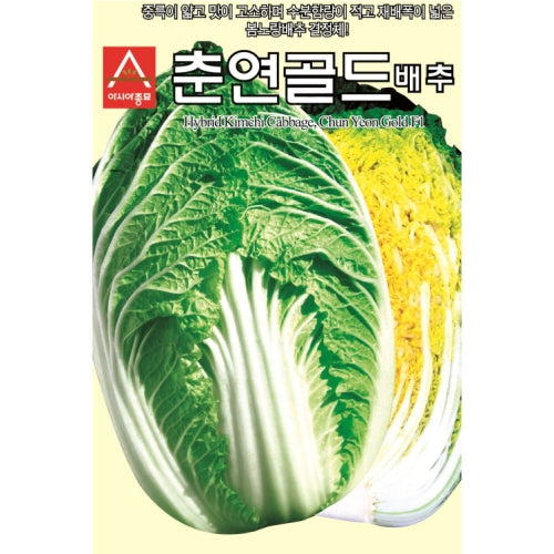 춘연골드 배추 씨앗 Hybrid Kimchi Cabbage Seeds