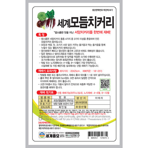 모듬 치커리 씨앗 Mixed Chicory Seeds