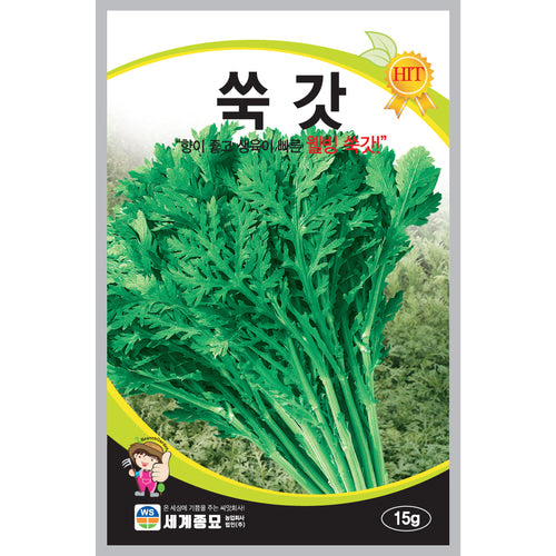 쑥갓씨앗 Garland Chrysanthemum Seeds