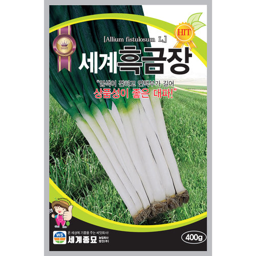 흑금장파 씨앗 Bunching Onion Seeds