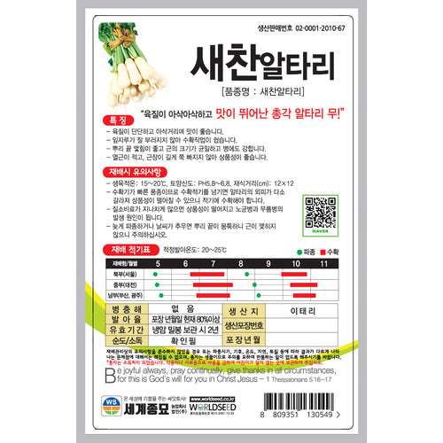 알타리무 씨앗 Hybrid Kimchi Radish Seeds