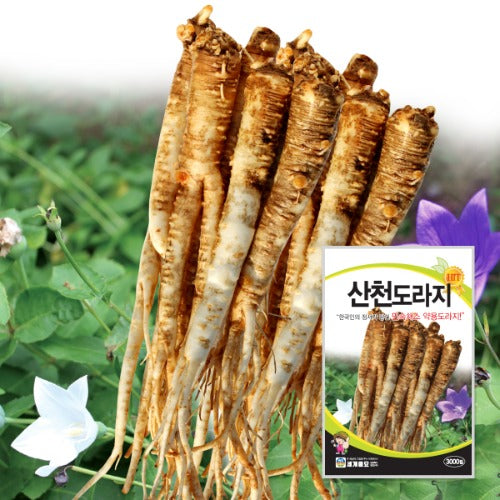 ėė¼ģ§ Balloon flower Seeds