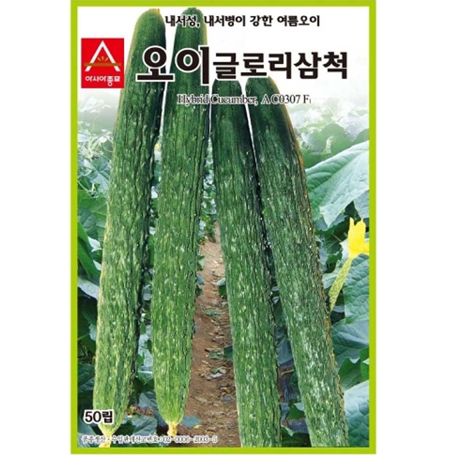 오이 글로리삼척 씨앗 Cucumber Glory Samcheok Seeds