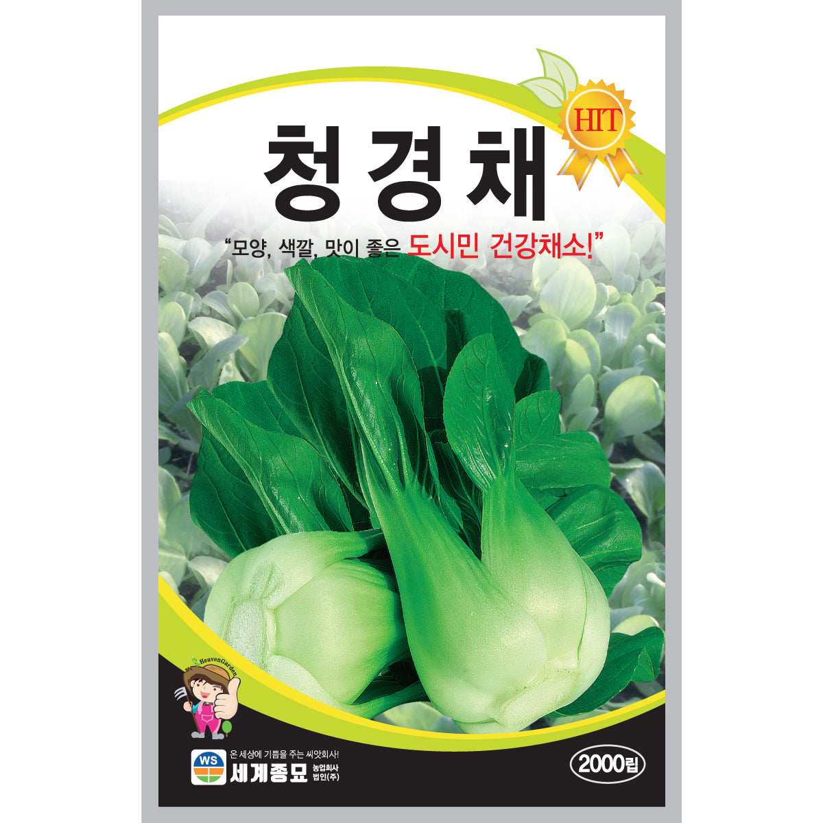 청경채 씨앗 Hybrid Bok Choy Seeds