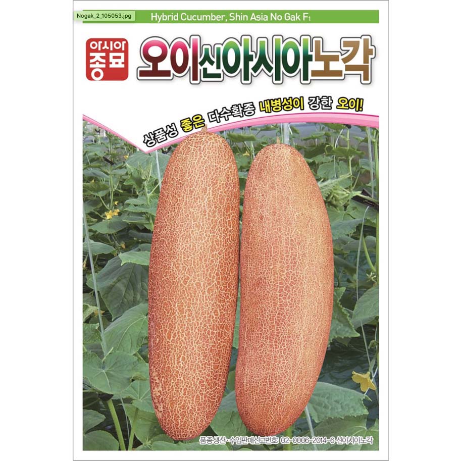 오이신 아시아 노각씨앗 Hybrid Cucumber Seeds