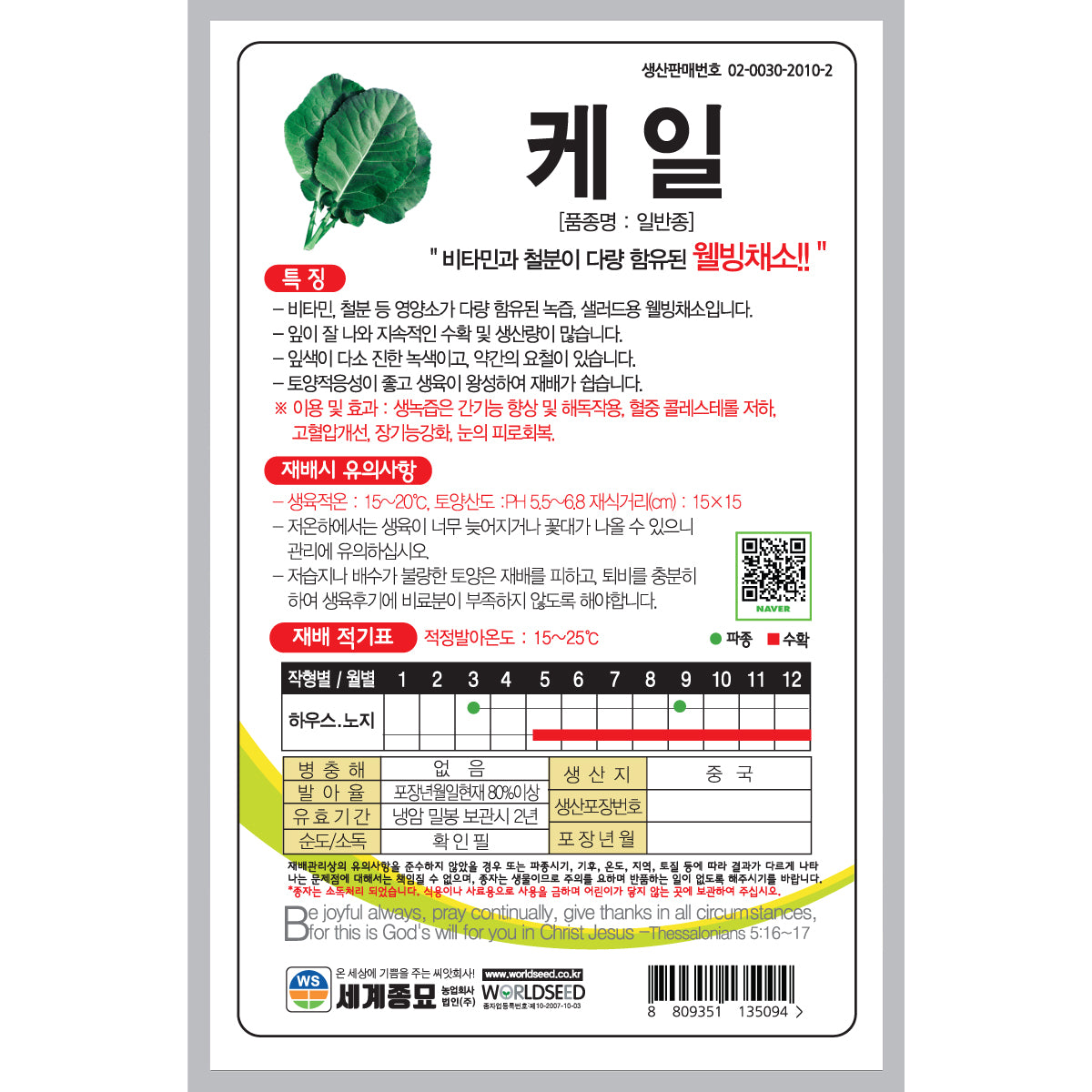케일 씨앗 Kale Seeds