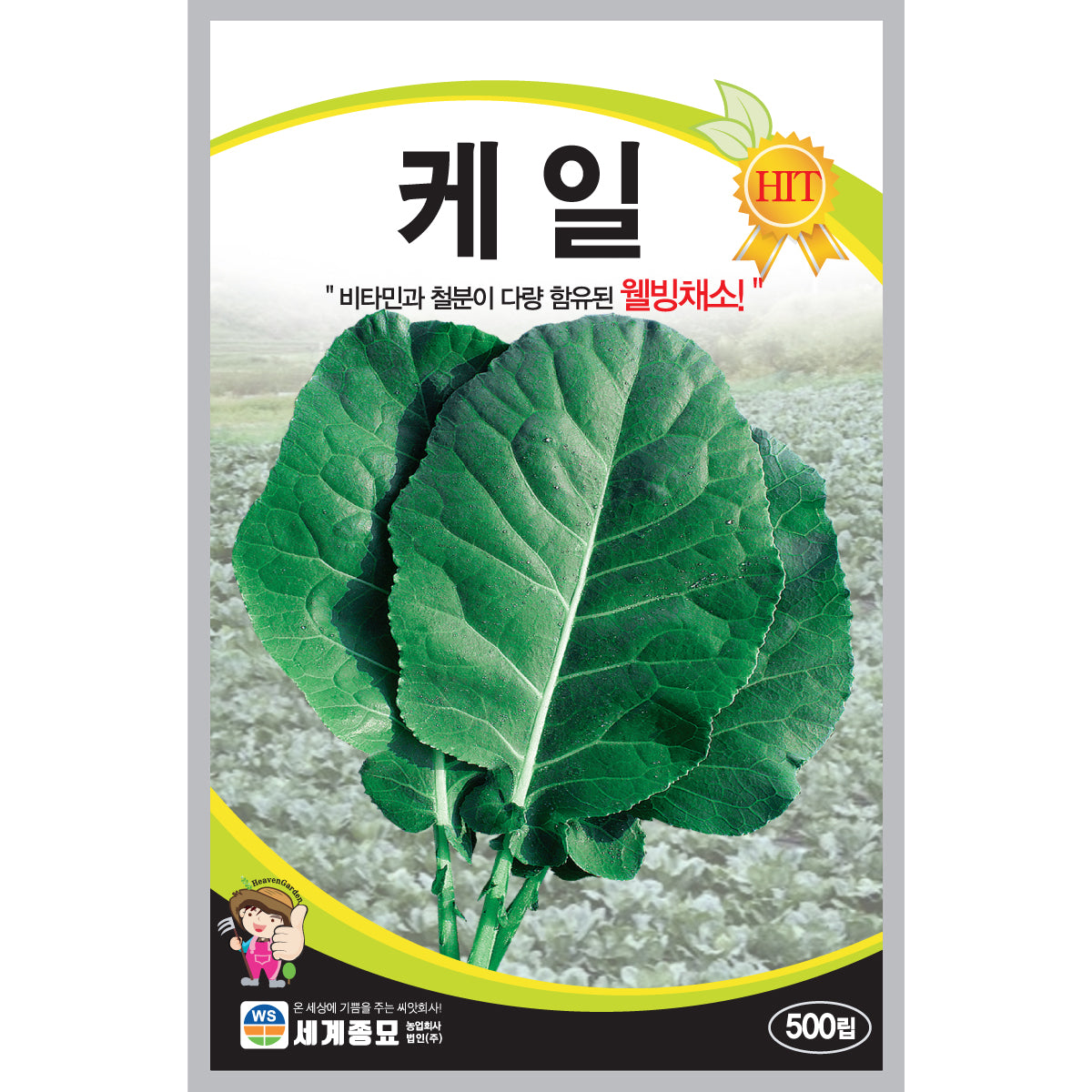 케일 씨앗 Kale Seeds
