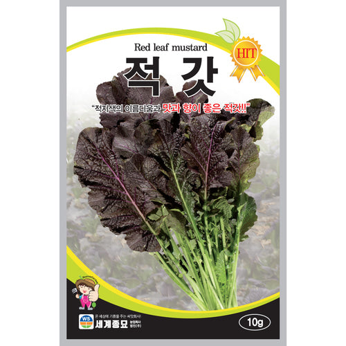 적갓 씨앗 Red Leaf Mustard Seeds