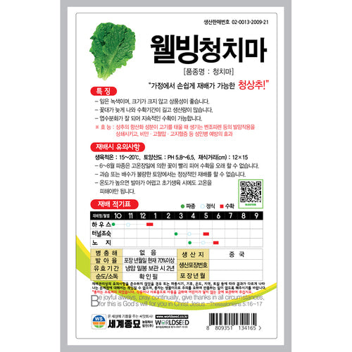 청상추 Green Lettuce Seeds