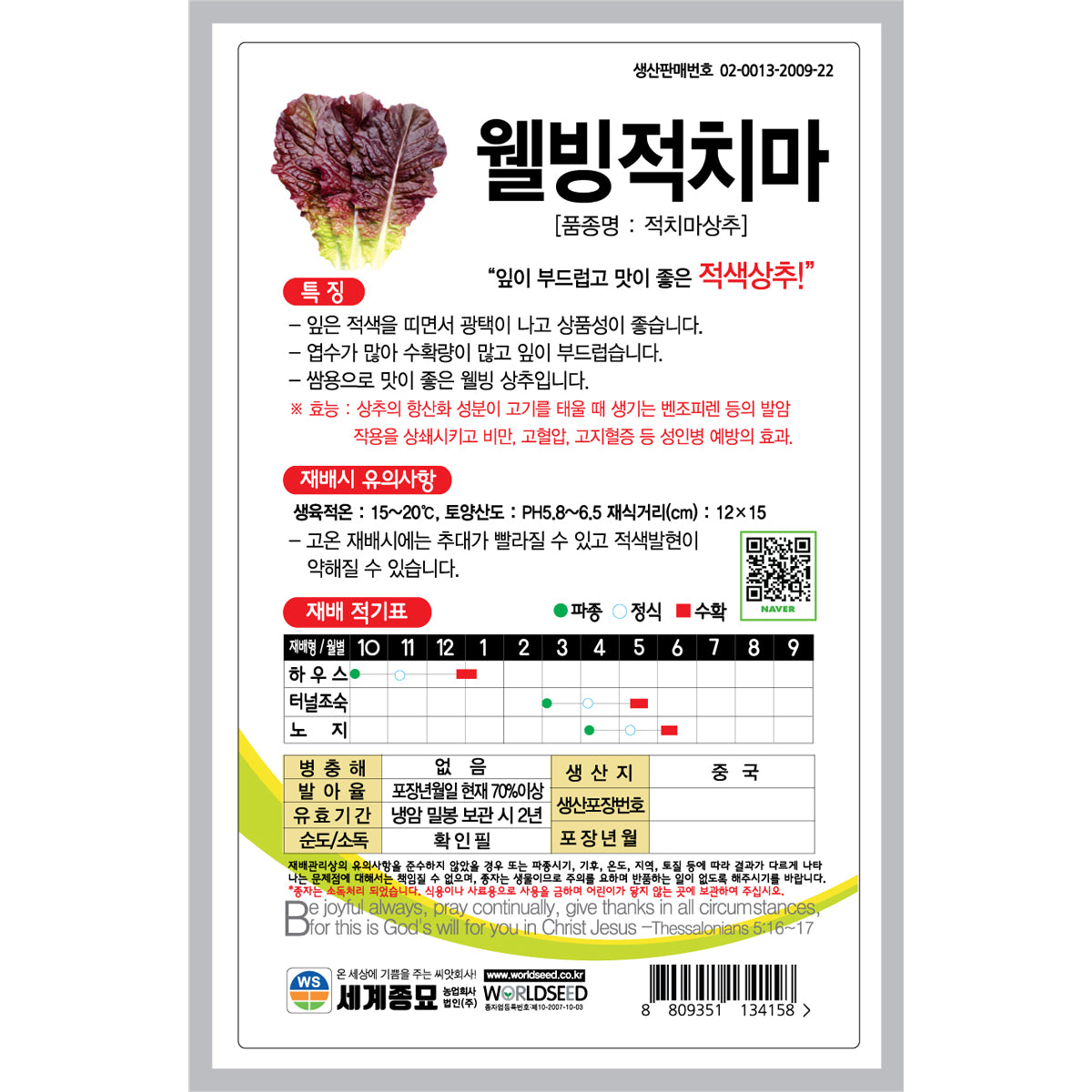상추 적치마 씨앗 Leaf purple Lettuce Seeds