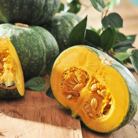 단호박 씨앗 Hybrid Squash Seeds