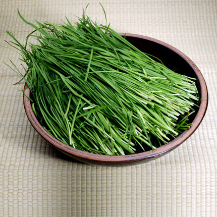 부추 씨앗 Chives Seeds