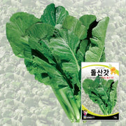돌산갓 씨앗 Leaf Mustard Seeds 5g