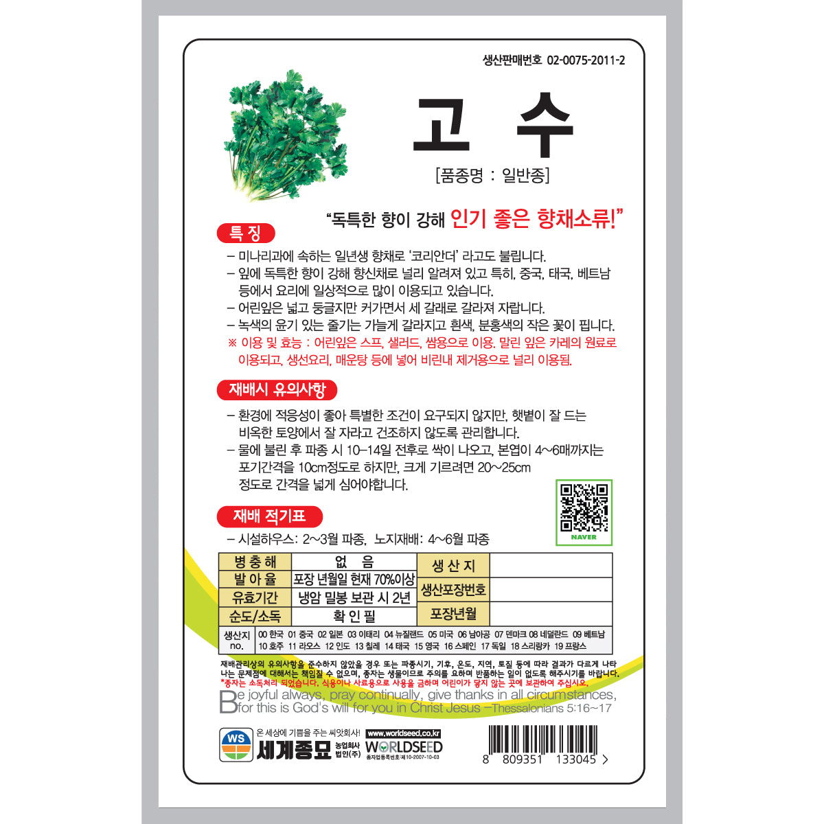 고수 실란트로 씨앗 Coriander Cilantro Seeds