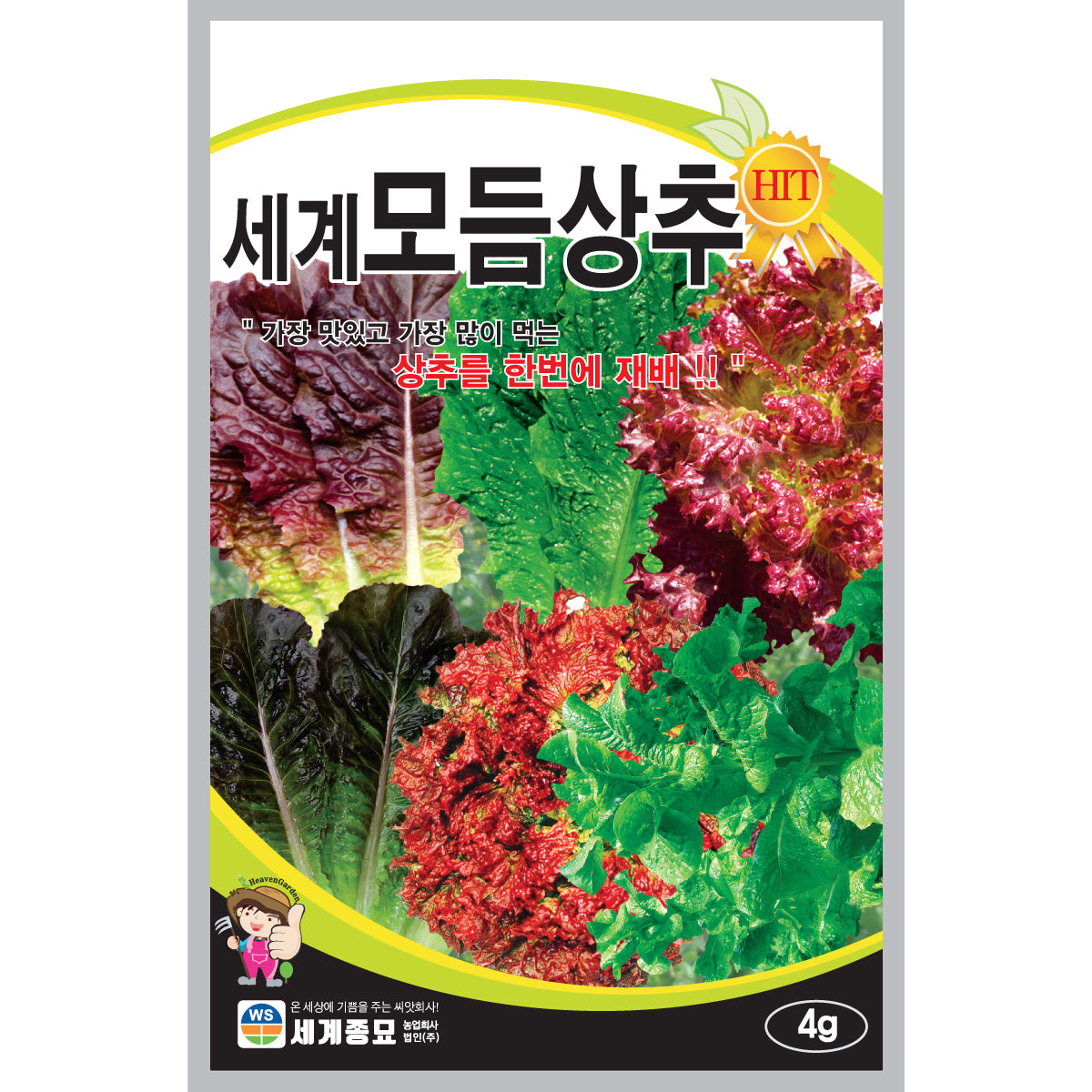 모듬상추 씨앗 Lettuce Collection Seeds