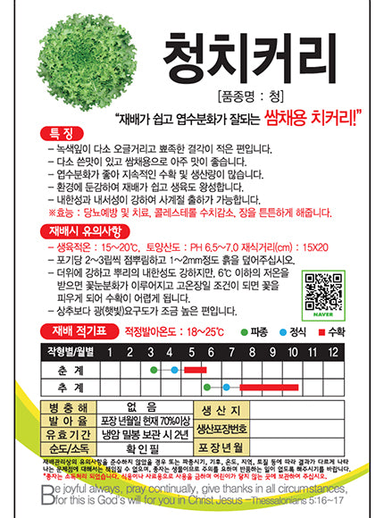 청치커리 Endive Seeds