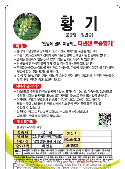 황기씨앗 Milk Vetch Root Seeds