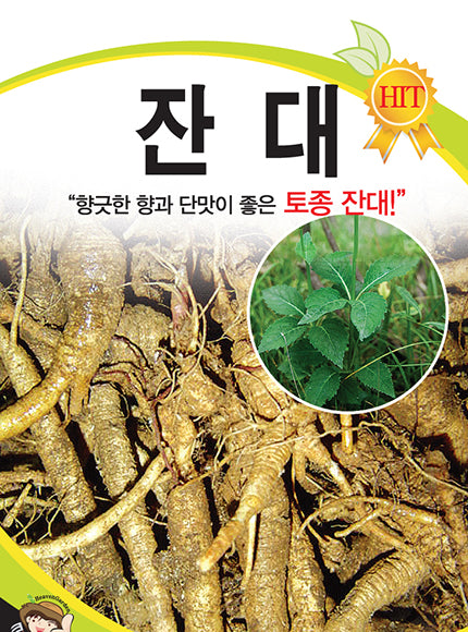 잔대씨앗 Adenophola triphylla Seeds