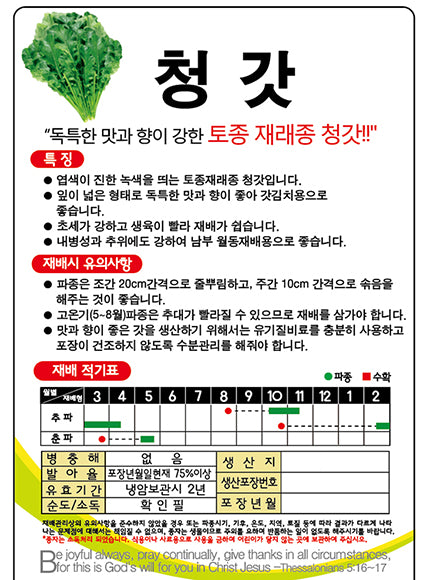 청갓 씨앗 Green mustard Seeds