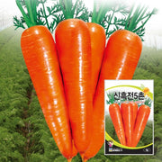 신흑전 5촌 당근씨앗 Sinheukjeon 5Carrot Seeds