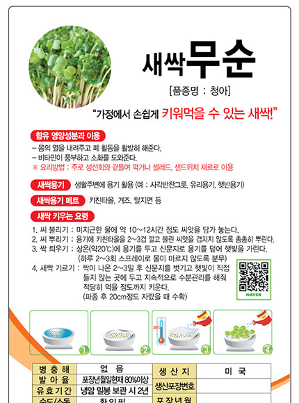 무순 씨앗 Sprout radish Seeds