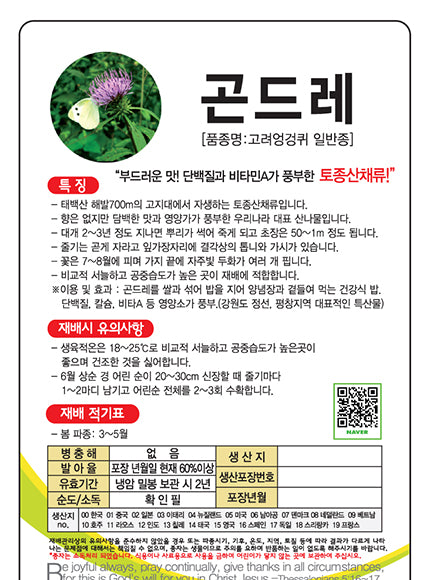 곤드레 씨앗 Cirsium setidens Seeds