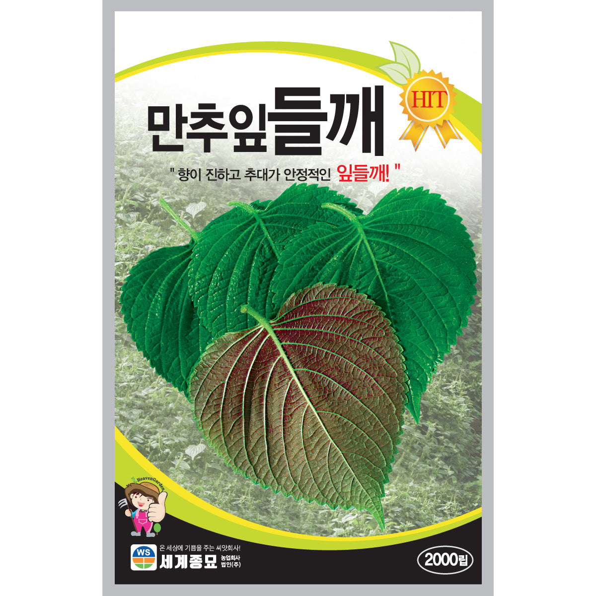 들깨깻잎 씨앗 Green Leaf Perilla Seeds
