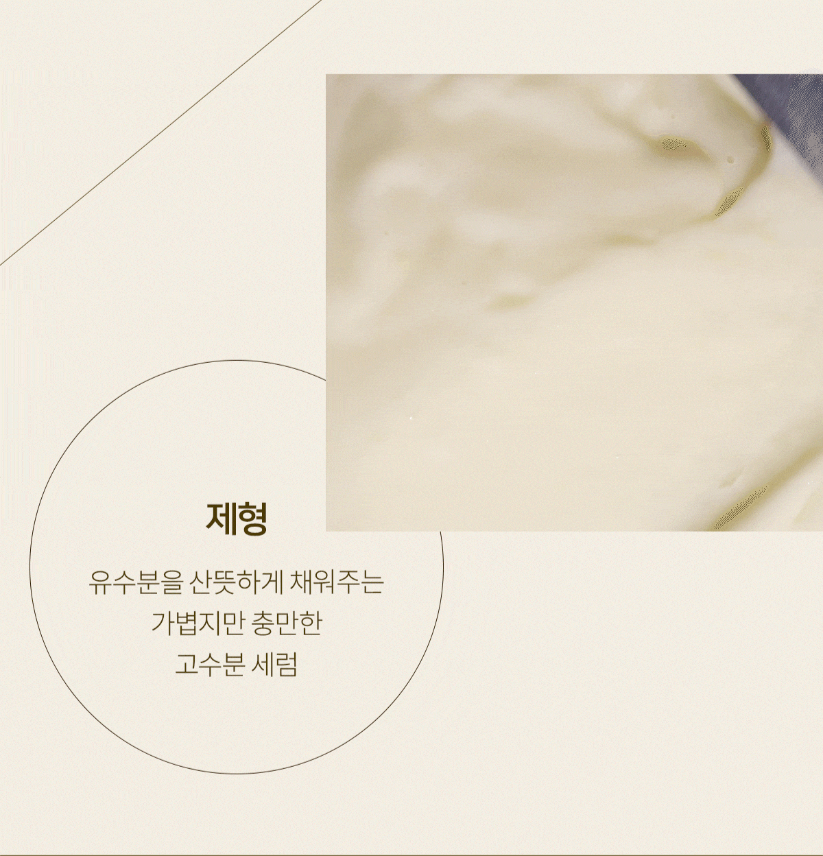 네오스랩 리퀴드 인핸서 피크노제놀® Liquid Enhancer Pycnogenol 1.01 Fl.Oz. (30Ml)