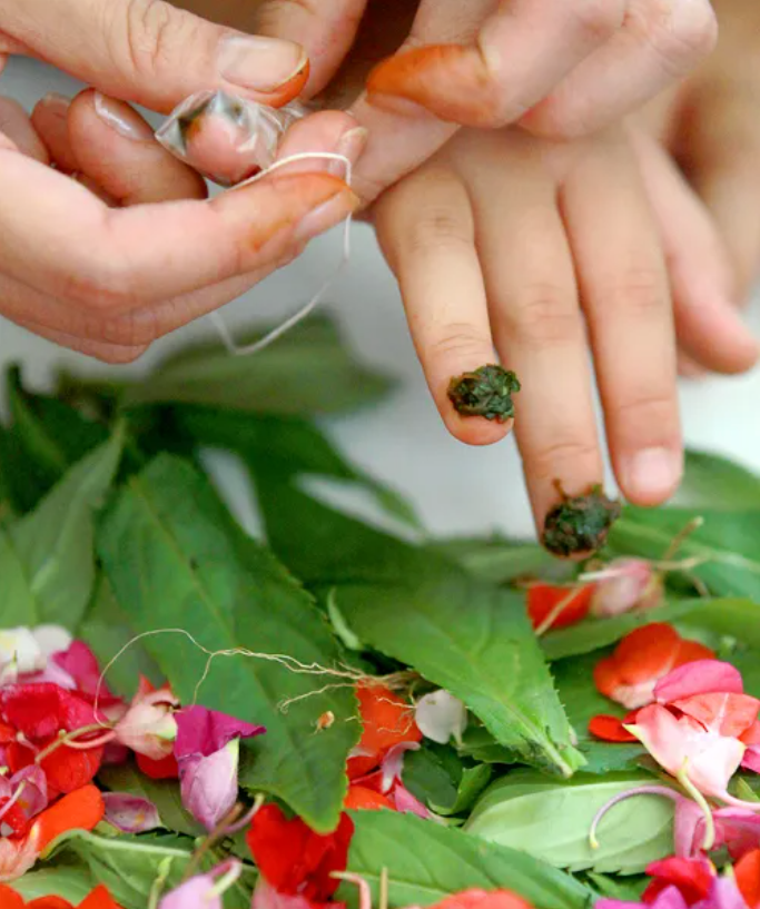 봉숭아 씨앗 봉선화 씨앗 Impatiens Balsamina